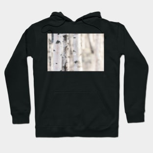 Birch Hoodie